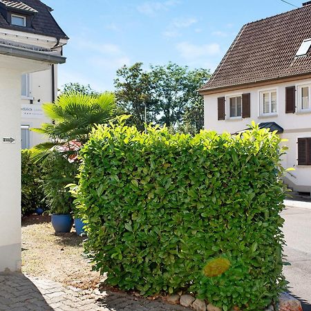 Bluehome Ferienwohnung Bad Bellingen Exteriör bild