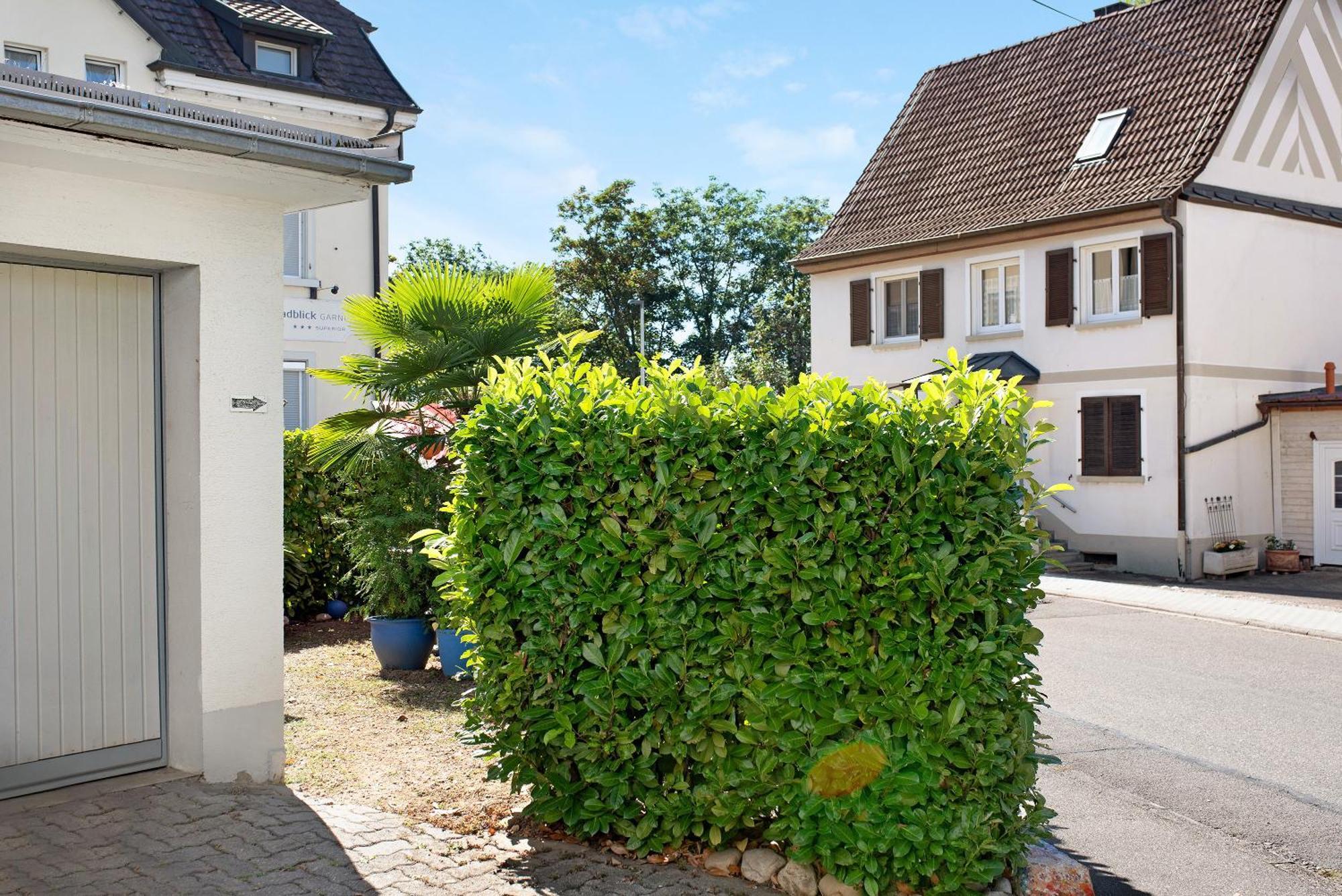 Bluehome Ferienwohnung Bad Bellingen Exteriör bild